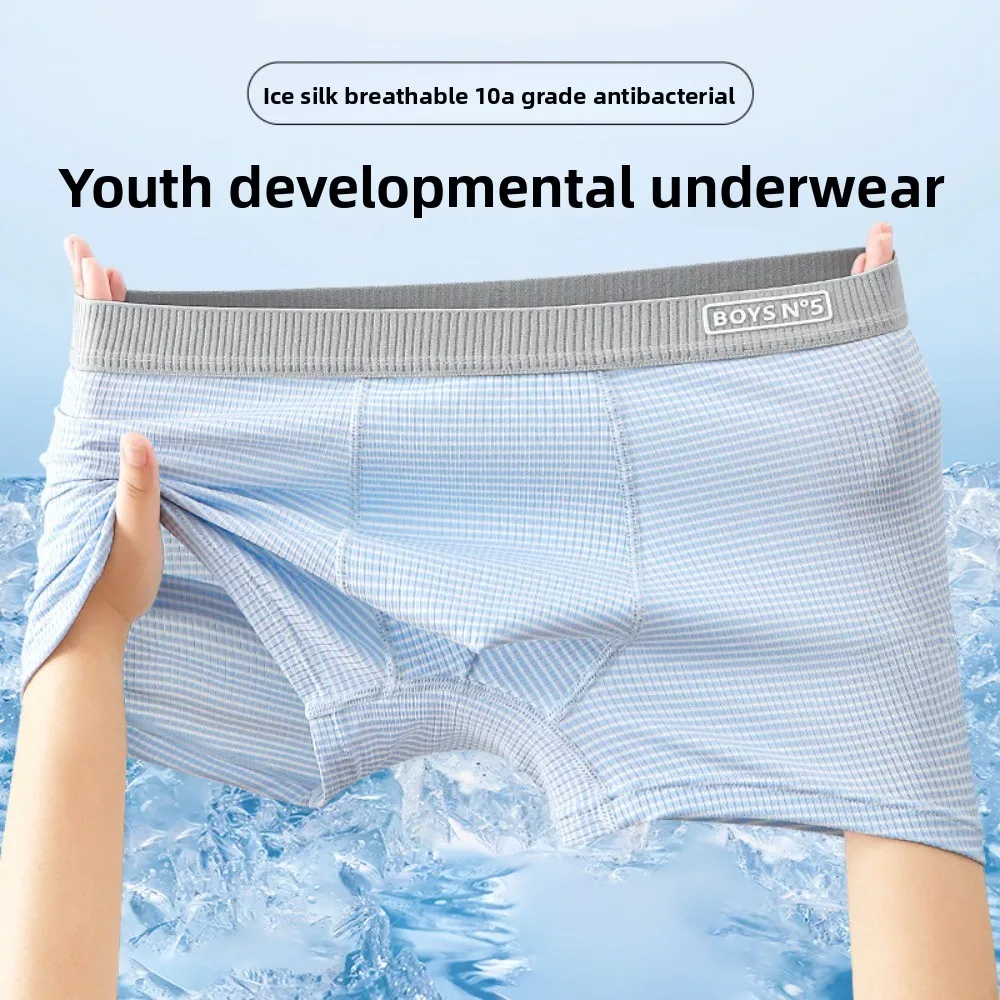 

4Pcs Fashion Thin Ice Silk Boxer Briefs Seamless Underpants Ice Silk Boxers Lingerie Elastic Underwear for Men Gifts