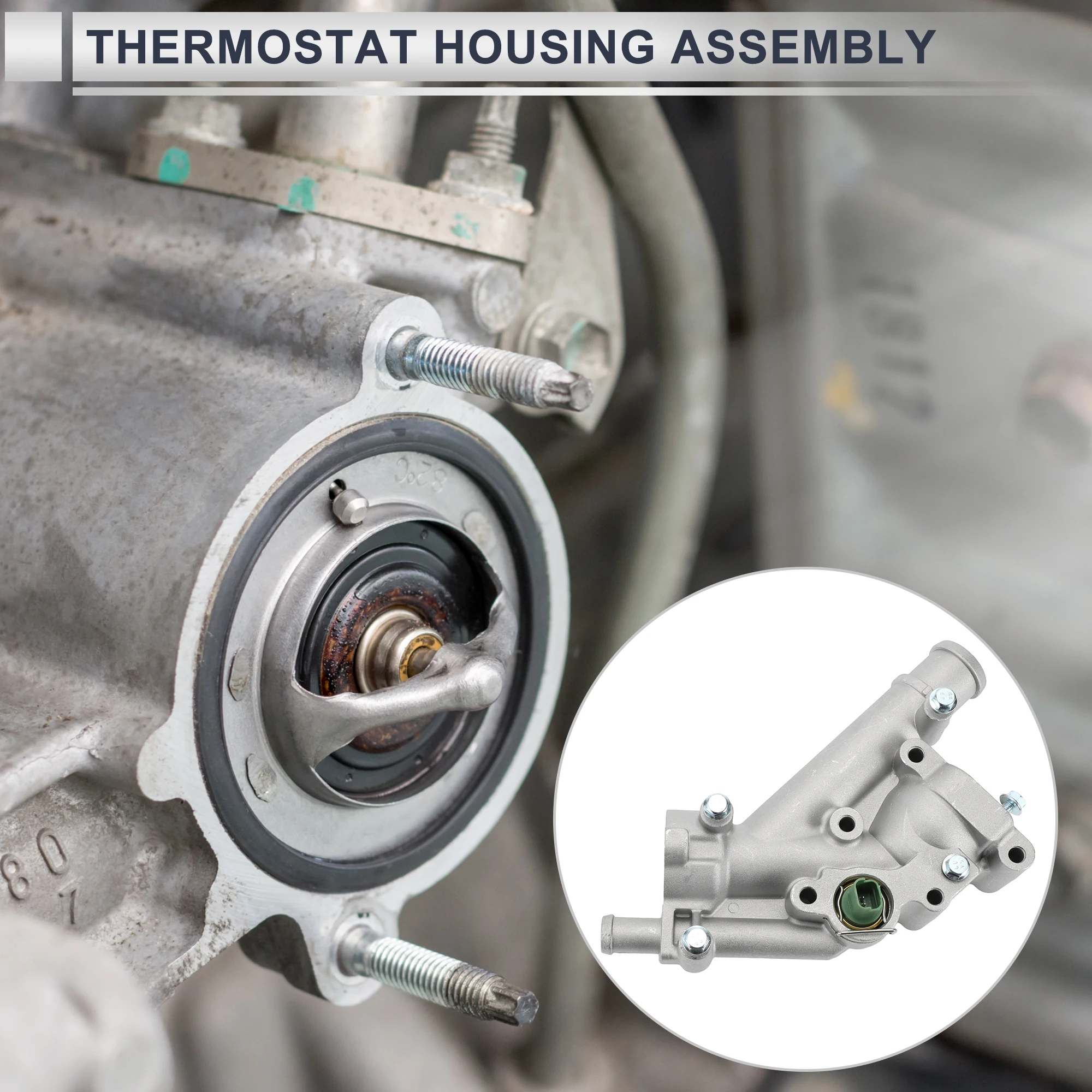 X Autohaux Engine C…