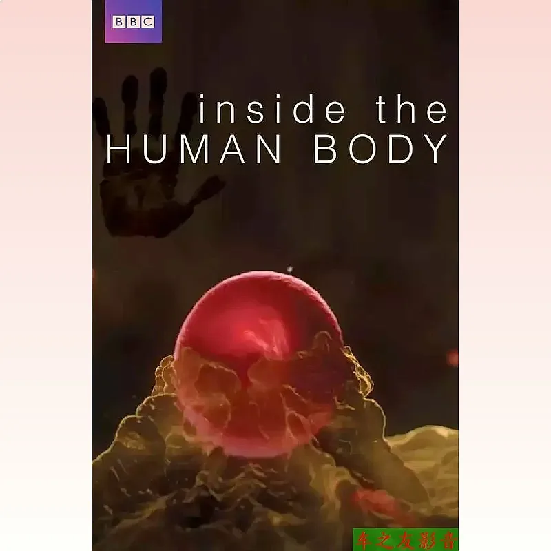 Blu-ray Documentary Human Mysteries Cantonese Language 1080P 1BD Disc Non- Disc