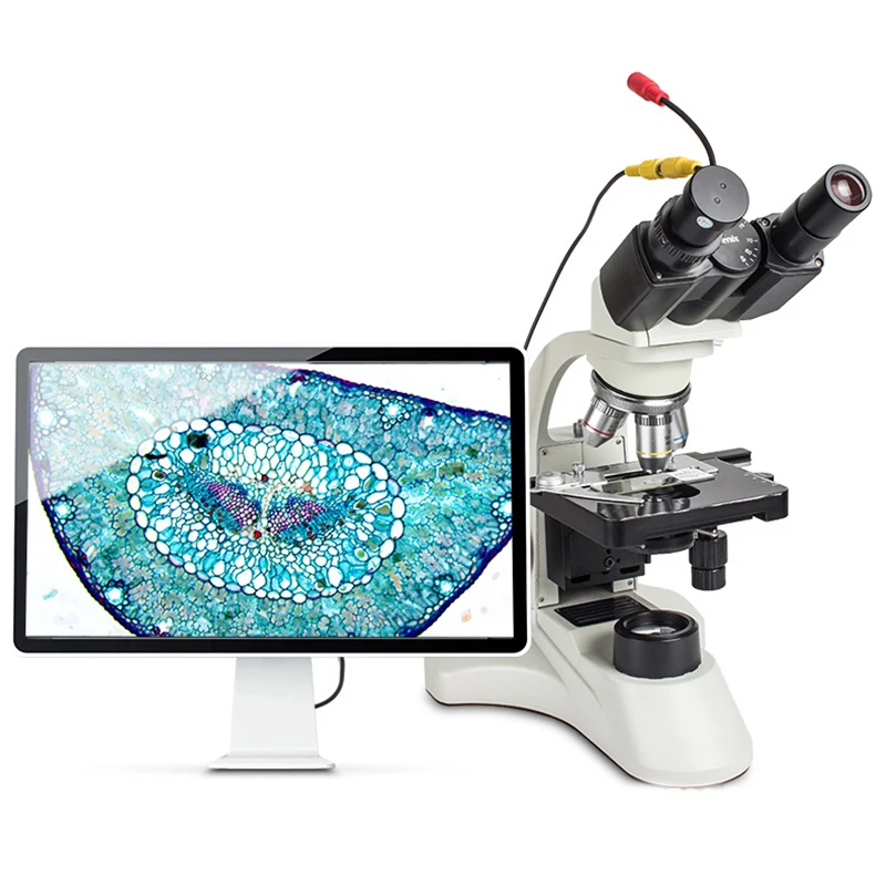 High Quality Veterinary Equipment Led Light Source Digital Veterinary Binocular Microscope Laboratory