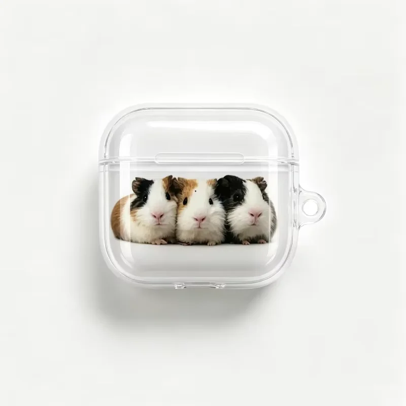 Kawaii guinea Pig Clear Soft TPU Earphone Case For Airpods 1 2 3 4 Pro Pro2 Pro3 Shockproof with Hook Accessories Airpods Cover - view 3