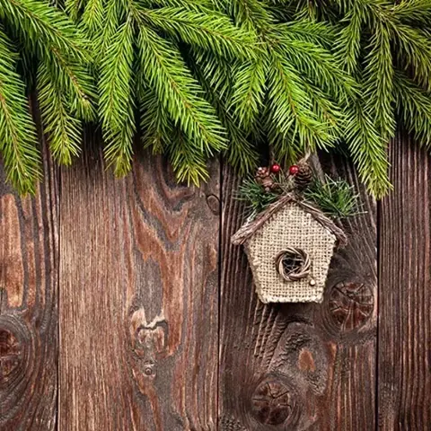 10-100 पीस क्रिसमस कृत्रिम शाखाएं नकली पौधे पाइन सुइयां पुष्पांजलि बेल रतन क्रिसमस ट्री उपहार बॉक्स फूल सजावट के लिए 10 best sales क्रिसमस पुष्पमाला - №4