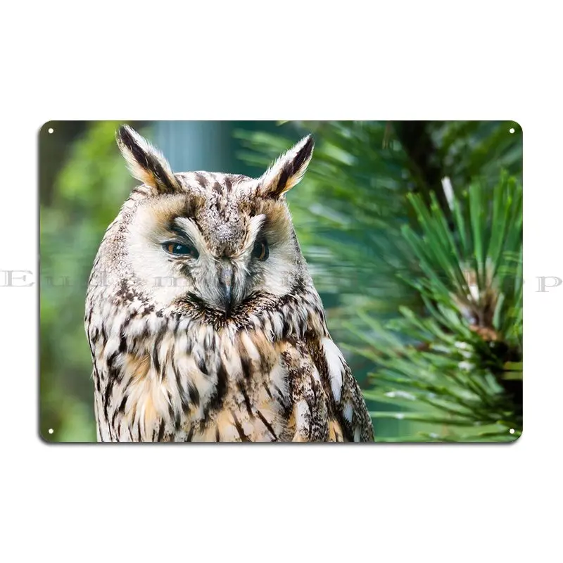 The Critical Owl Metal Sign Wall Decor Party Club Bar Designing Wall Mural Tin Sign Poster