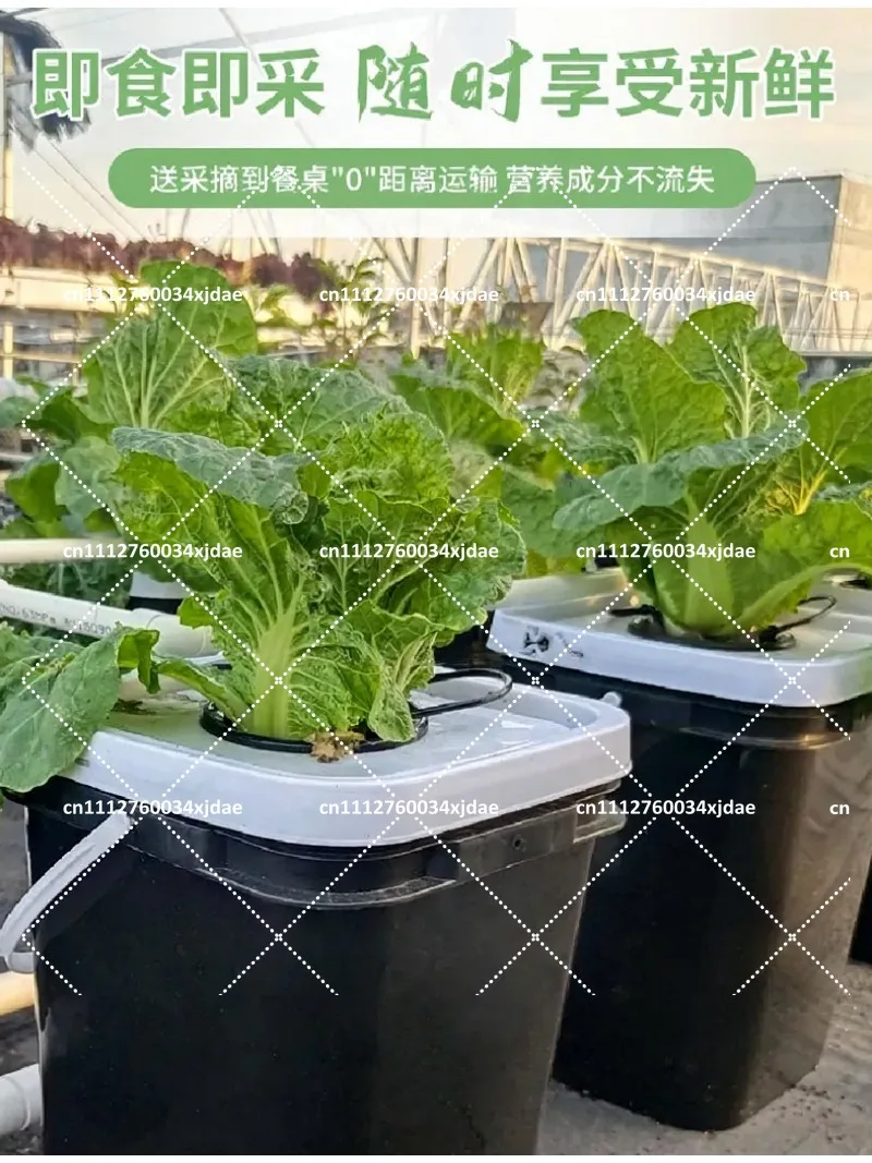 Hydroponic Growing System, RDWC Bucket Kit for Indoor Garden, Soilless Cultivation Planter for Home Balcony