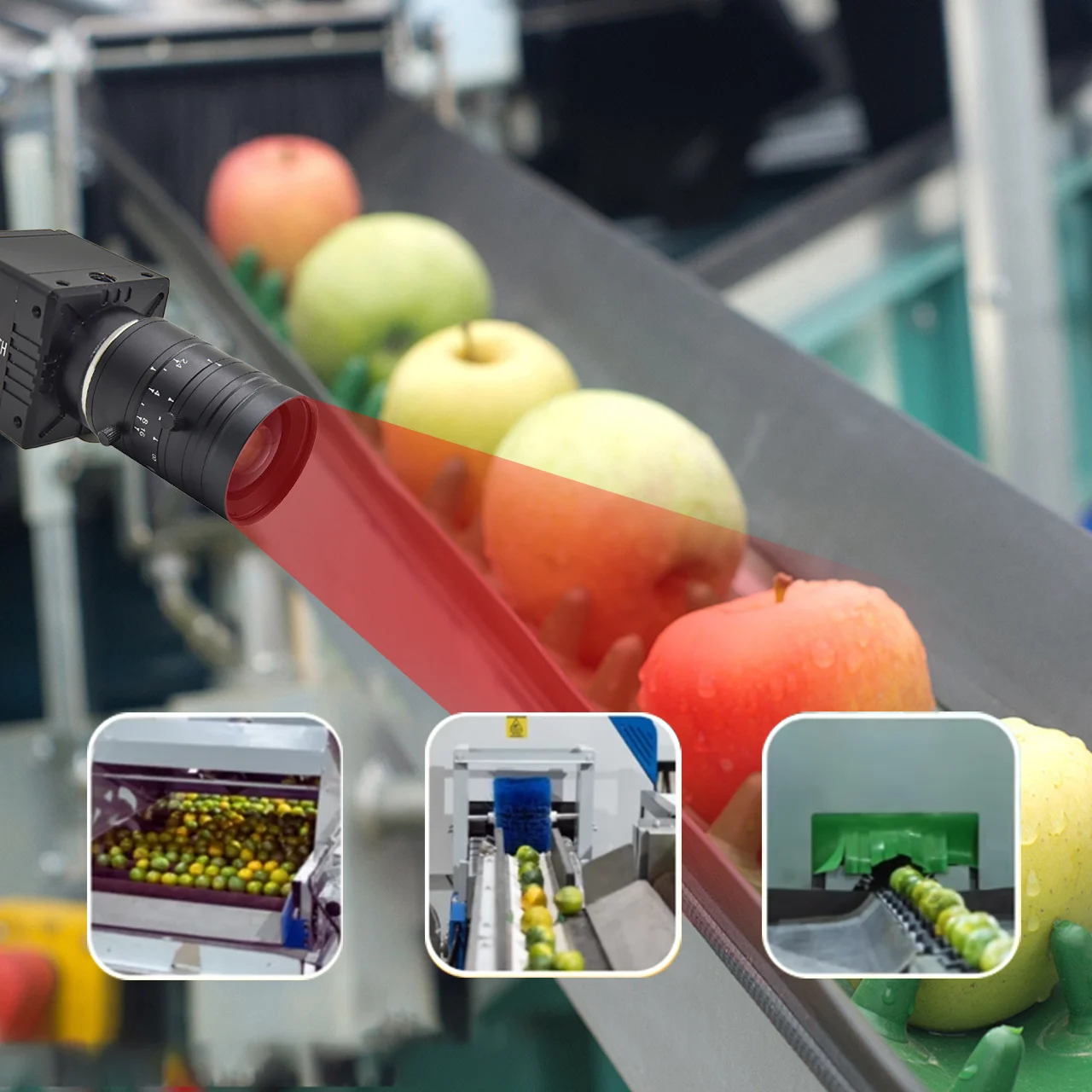 RGB+NIR 5MP Area Scan 4K Line Scan 300-1100nm Infrared Camera for Food Sorting Vision Datum