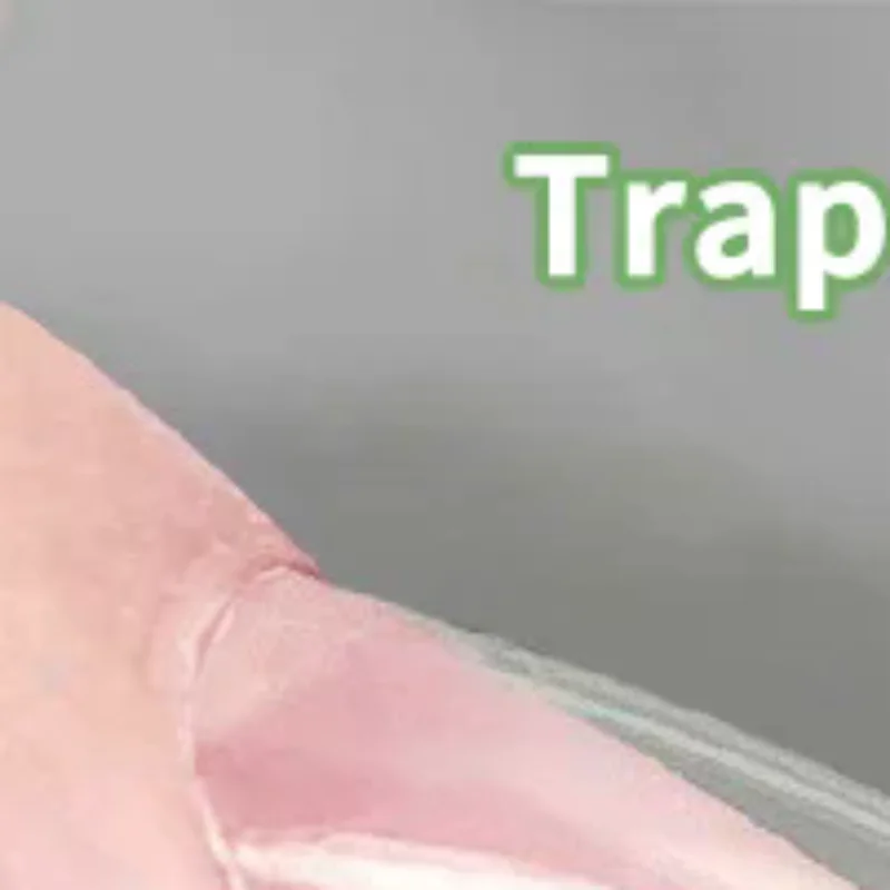 320 Stück Sandwich Dual Nail Forms Extensions-Dual Forms Sarg Nagel Formen Top Mold Bottom Mold Verlängern Maniküre Kunst Werkzeuge