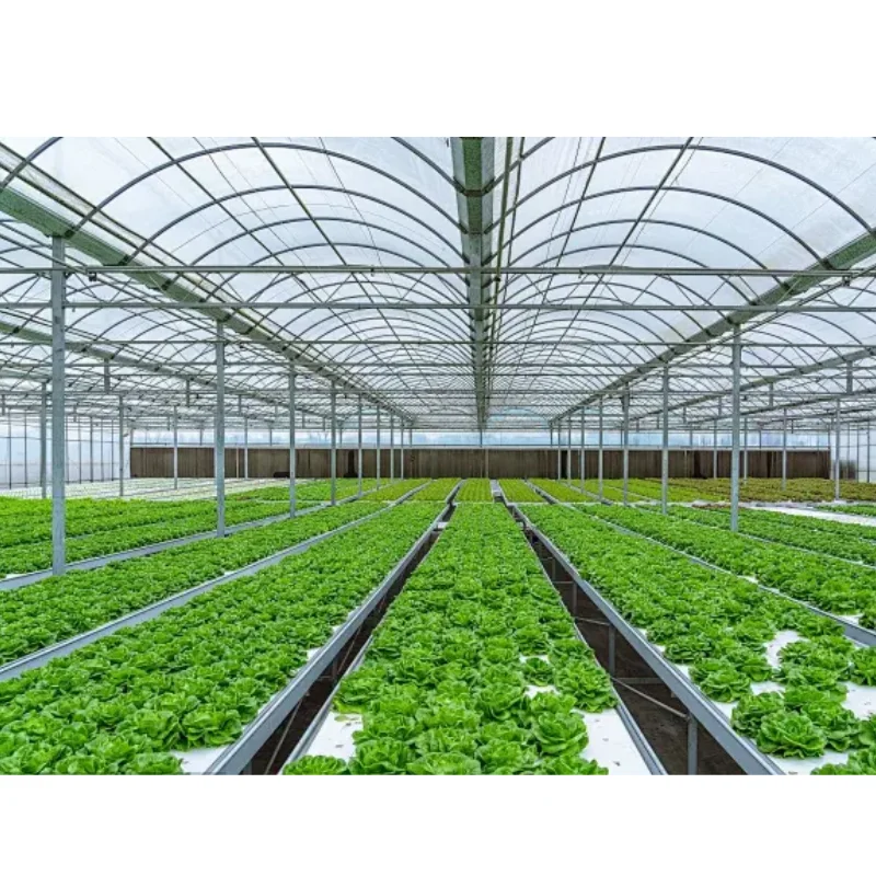 

Customized greenhouseGood Heat & Shading System Strawberry Film Arch Greenhouse Multi-span Agriculture Poly Tunnel Greenhouse fo