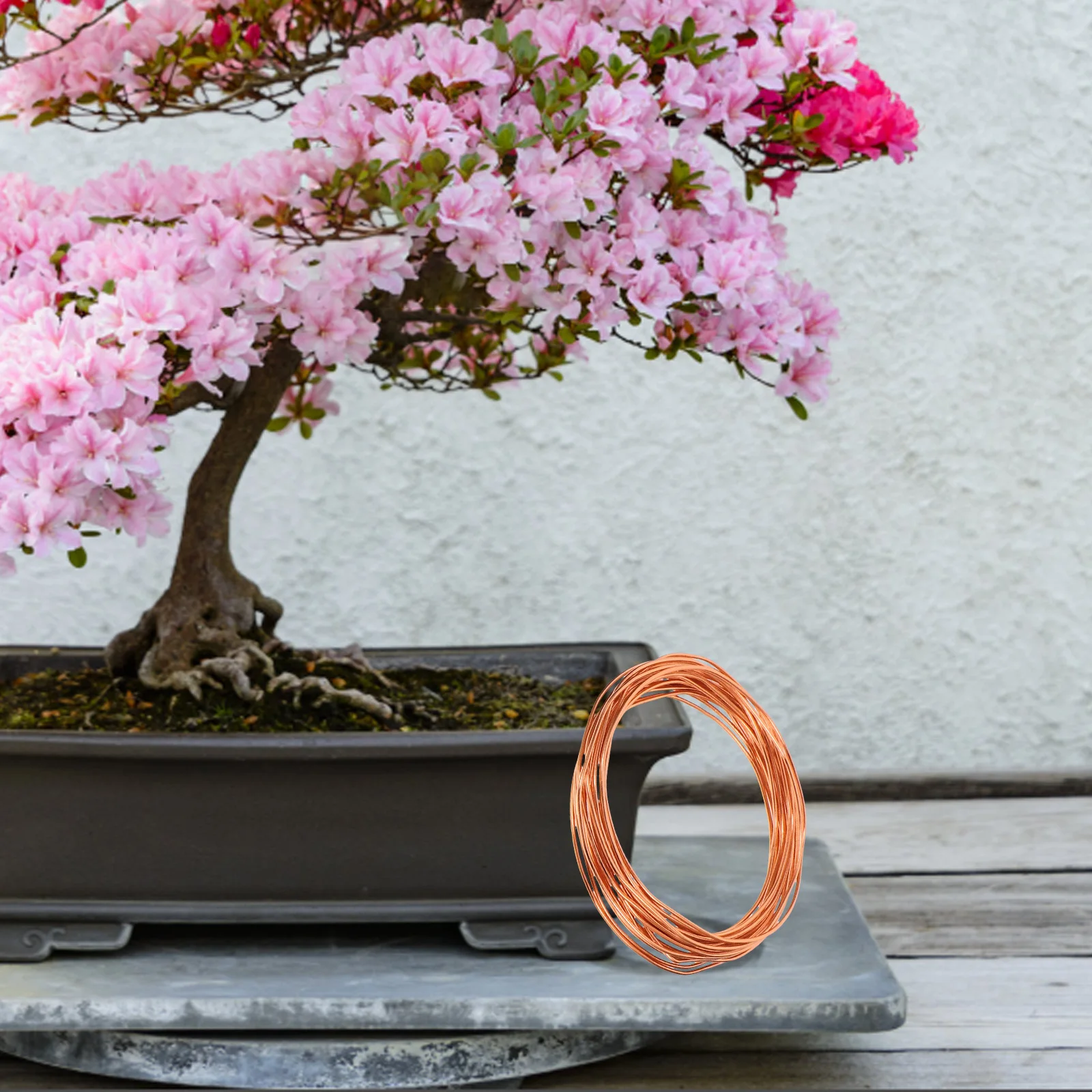 5Rolls Aluminum Bonsai Wire BlackAnodized Bendable Precision Handmade Durable VibrantColors Portable Gardening OutdoorUse