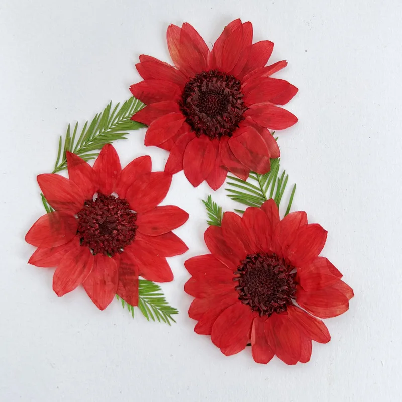 

Sunflower Children's Handmade Bookmark Greeting Card Photography Props Dried Flower Decoration Flower Shop Salon 18Pcs