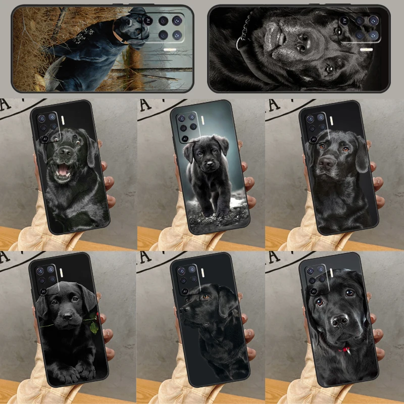 Labrador Puppy Dog …