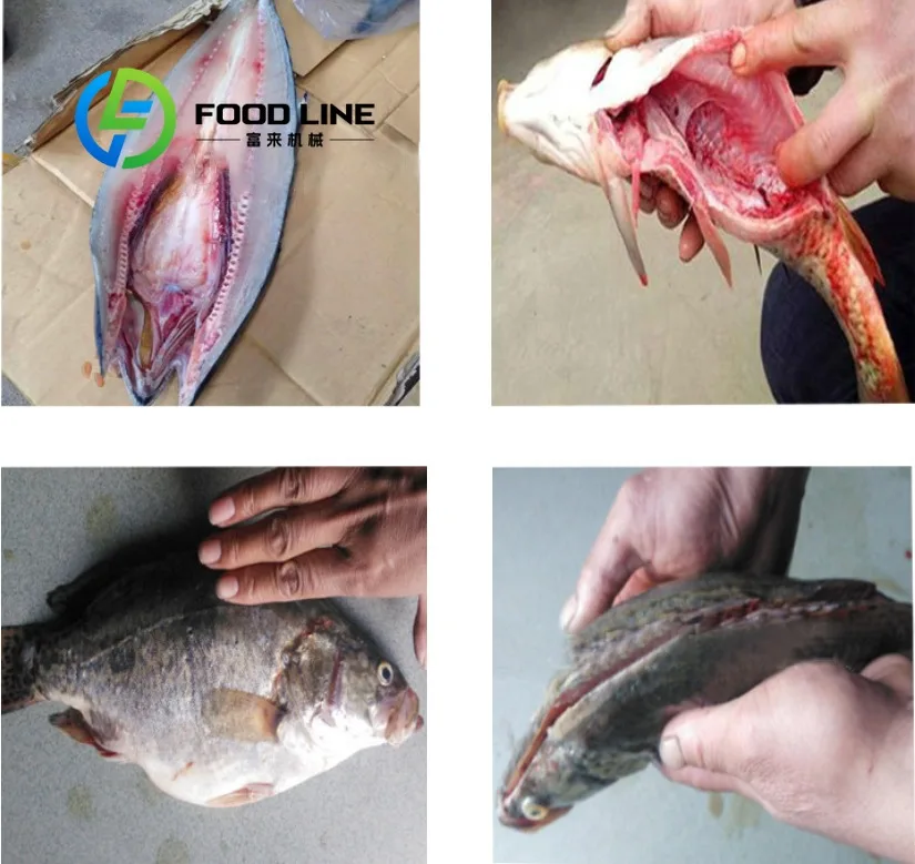 Good Price Fish Cleaning Machine Fish Killing Machine Price Fish Processing Machine