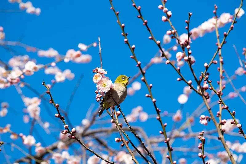 

1:14 4WD RC Truck для детей — высокоскоростной, водонепроницаемый внедорожный дрифт-гонки