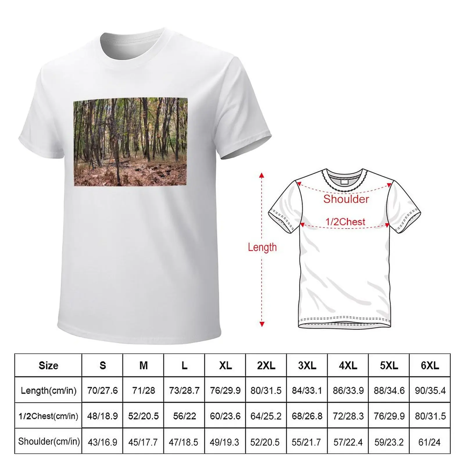 Nature photography in the fall season T-Shirt boys whites for a boy kawaii clothes heavyweights mens vintage t shirts