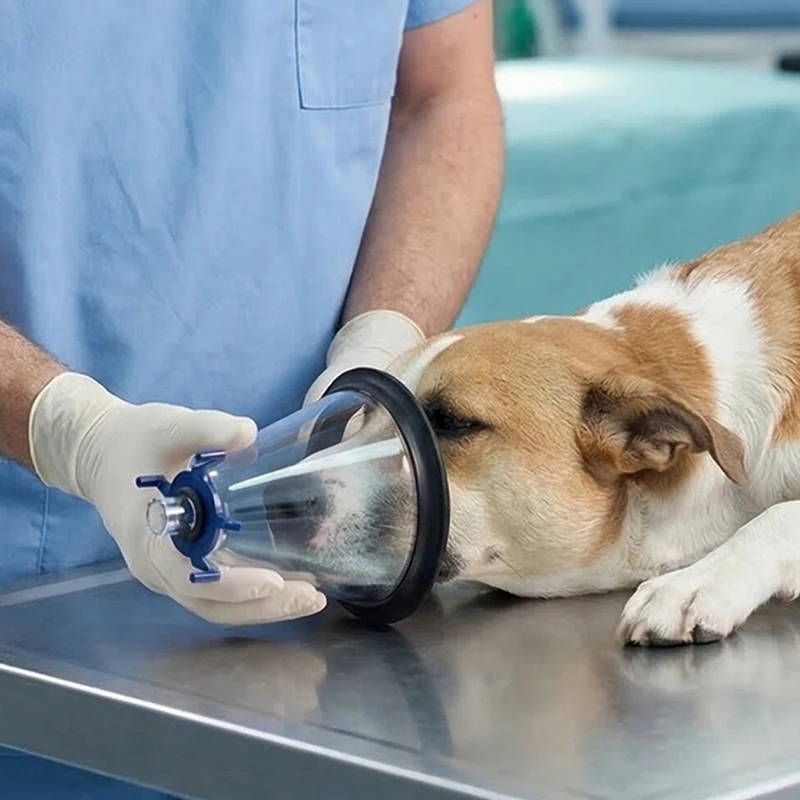 

Animal Anesthesia Mask For Cat Dog Bird Rabbit Guinea Pig With Atomization Anesthesia Induction Veterinary Clinic Supplies