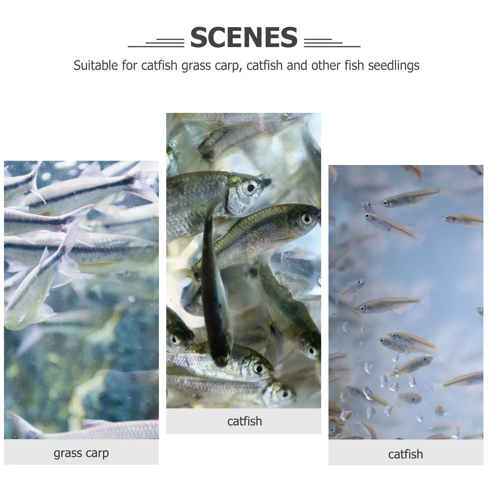 

Aquarium Net Hatchery 26X15X18Cm Fish Isolation Box Suction Cups For Breeding Tank Fry Protection Fish Box Net