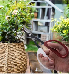 Bonsai Tool Long Handle Scissors Gardening Plant Branch Shears Garden Pruning Tools Bonsai Scissors