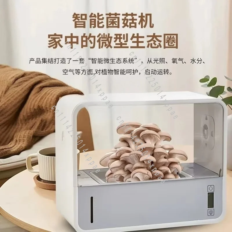 Home Ecological Growing Kit Smart Indoor Shiitake Mushroom Cultivation Box