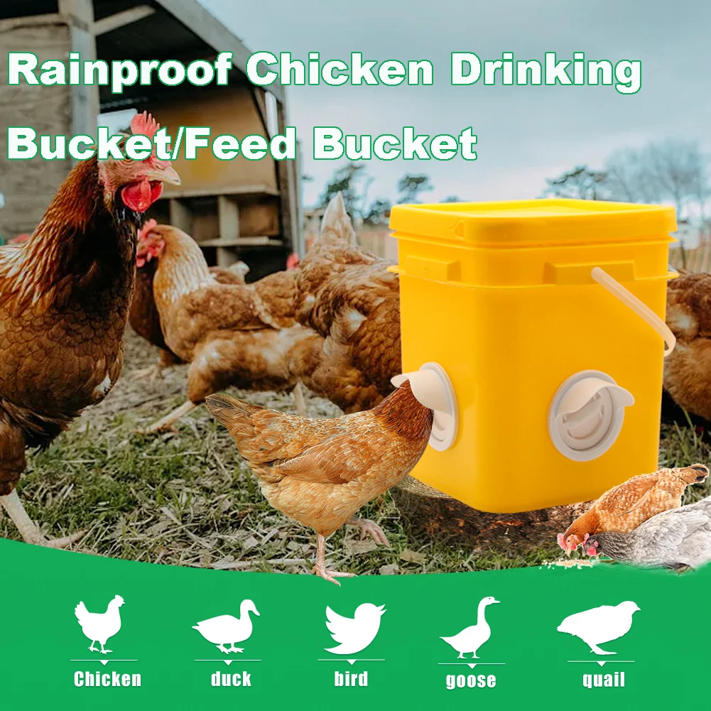 Abbeveratoio per polli per pollame Abbeveratoio per poule Forniture agricole a gravità Alimentatore antipioggia 4 porte e bevitore 8 fori per pollame