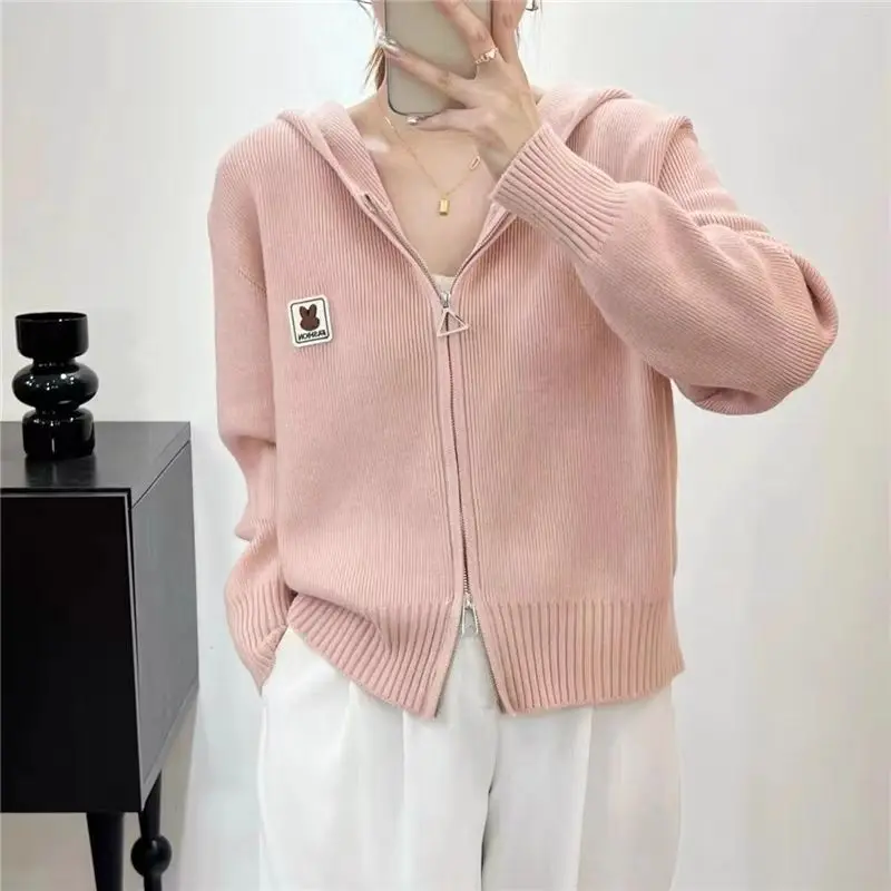 Hooded Knitted Cardigan Autumn New Women\'s Fashion Western Sweater Short Coat Top