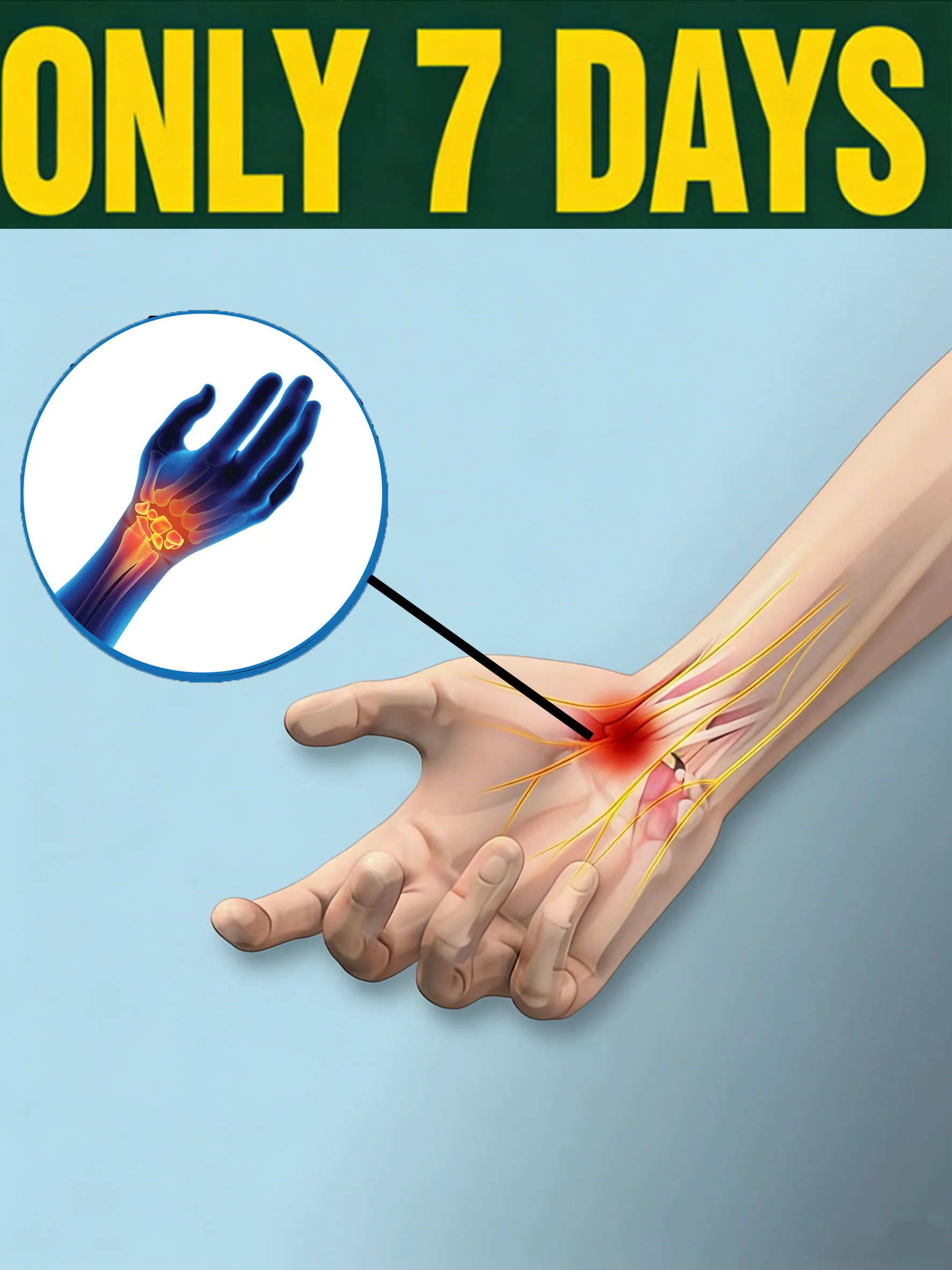 

2025 Новые популярные средства для ухода за спиной, шеей, талией, ногами, коленей