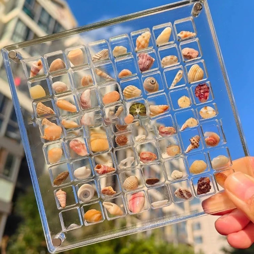 Acrylic Storage Box Display Rack 12x12cm 1pcs Acrylic Clear With Magnetic Closure Acrylic Seashell Display Box