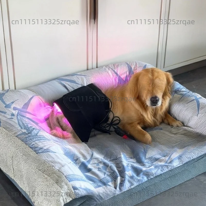 LED Red Infrared Light Therapy Led Lamp Mat Horse Leg Red Light Therapy Rug Pad For Pet Horse Back view 3