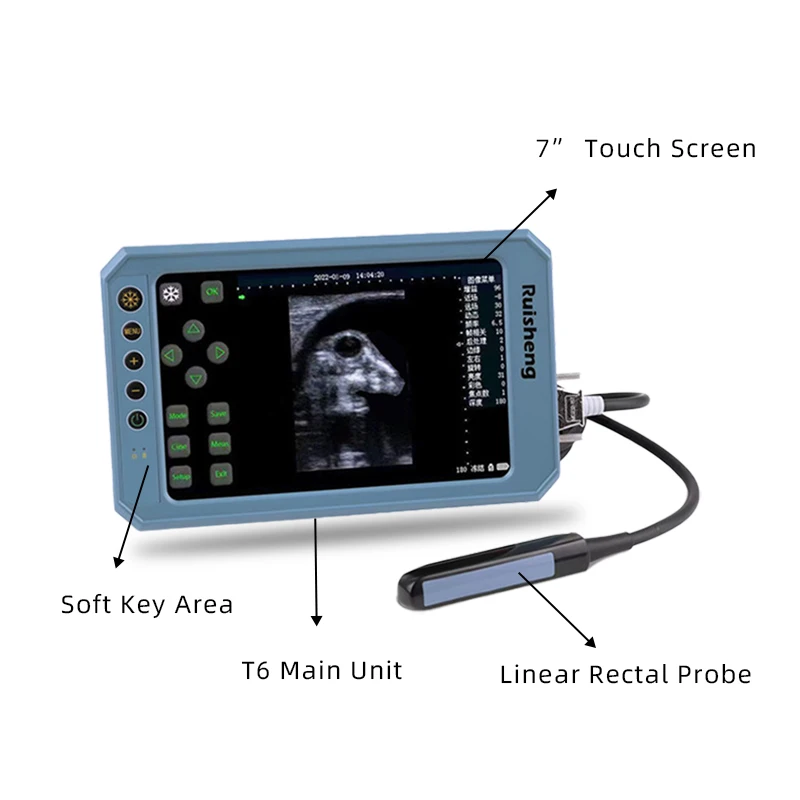 Pet Sonar Scanner Veterinär Handheld Ultraschall Maschine Full Touch Screen Betrieb Schwein Rinder Pferd Test