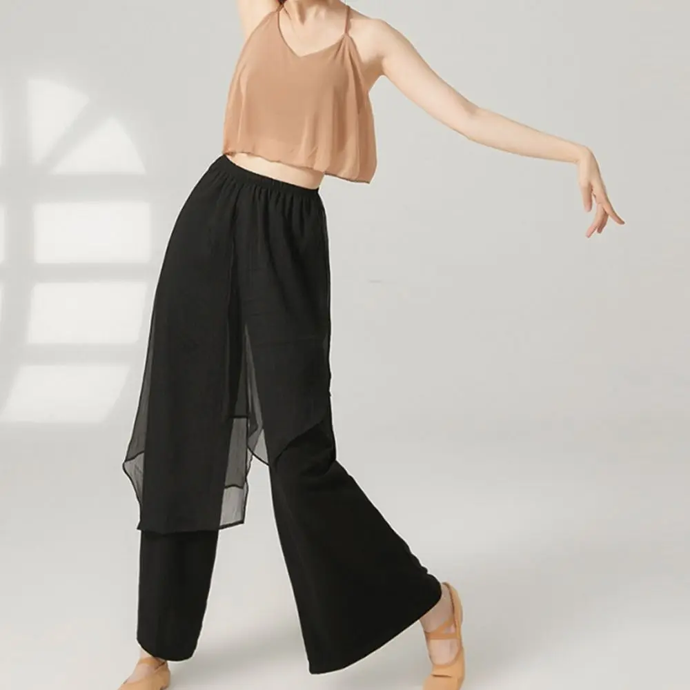 

Fashion Loose Dance Practice Pants Elastic Waist Elegant Fitness Pants Stage Performance Modern Dance Wide Leg Pants Women