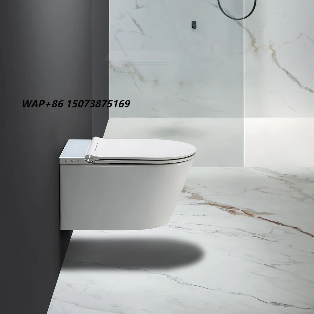 European Standard Comfort Height Bathroom Unit Sink Ceramic 1 Piece Elongated Bowl Smart Bidet Toilet