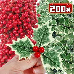 200/50pcs Artificial Holly Berry Leaves Fake Plants Green Leaf Red Berries for Xmas Tree Wreath Ornaments New Year Party Decor