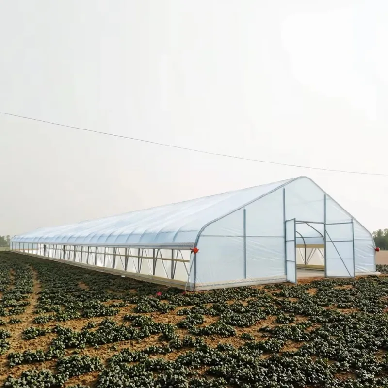 Tienda de campaña de jardín con invernadero de película de PE galvanizada W30ft L30ft H12ft, transmitancia de luz 92% para cultivo de plantas agrícolas