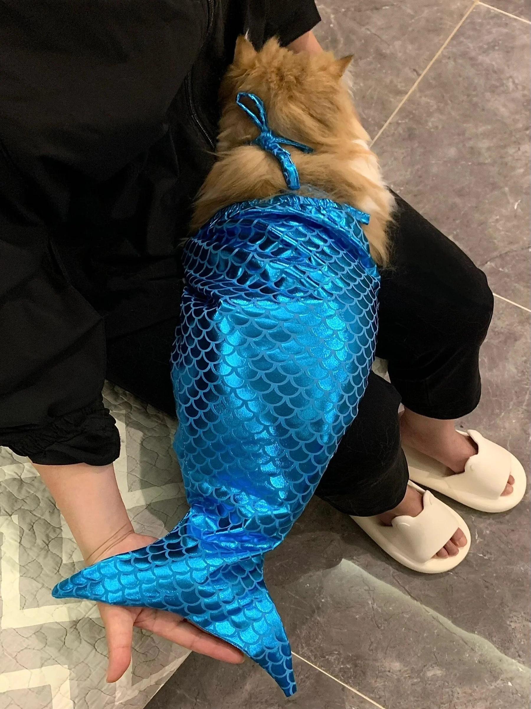 Cute Mermaid Pet Skirt Creative Halloween Pet Dressing Flash Cat Dress Coat Funny Costume Dog Cat Pet Clothes For Small Dog