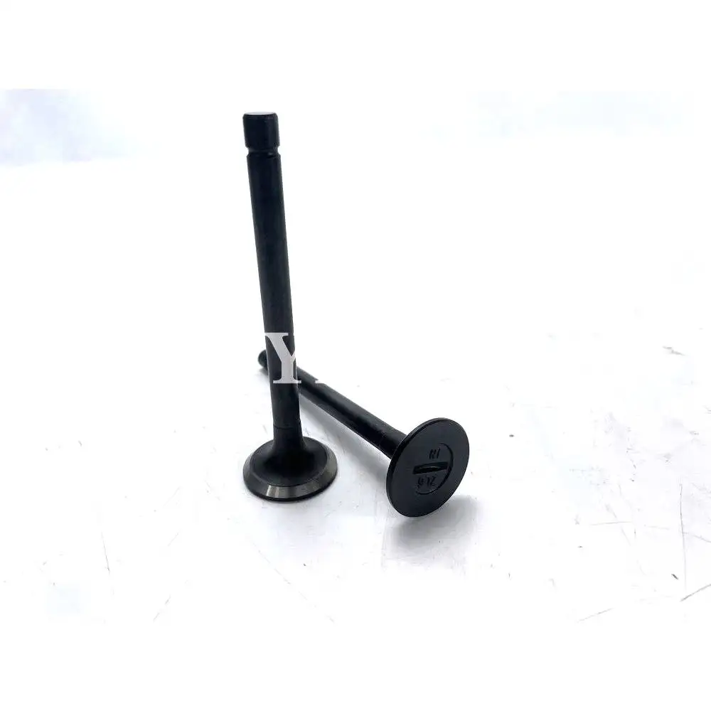 Long Time Aftersale Service 2 PCS B6000 Intake Valve For Kubota B6000