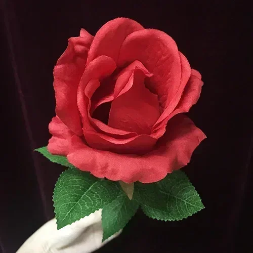 Lumière rose avec télécommande aste pour magicien, accessoire gimmick pour tours de magie de scène, gros plan, mentalisme