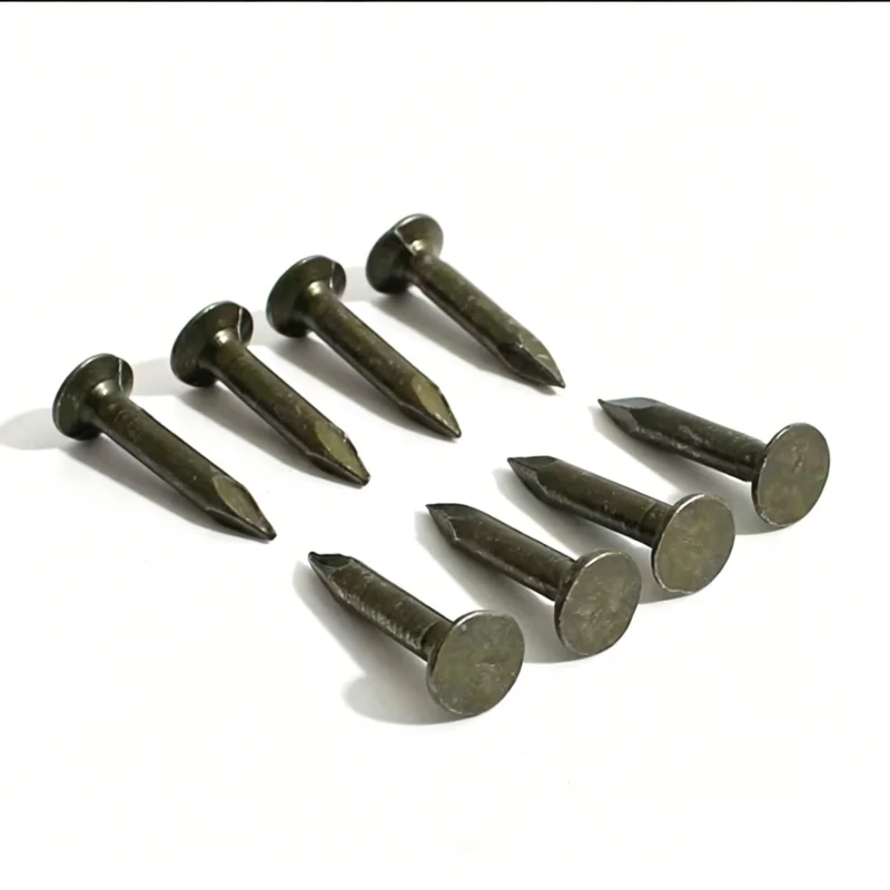 150 Pcs Asphalt Shingle Nails Large Head Nails Steel Nails Cement Nails Rooftop Shingles Roofing Felt Specialized Nails