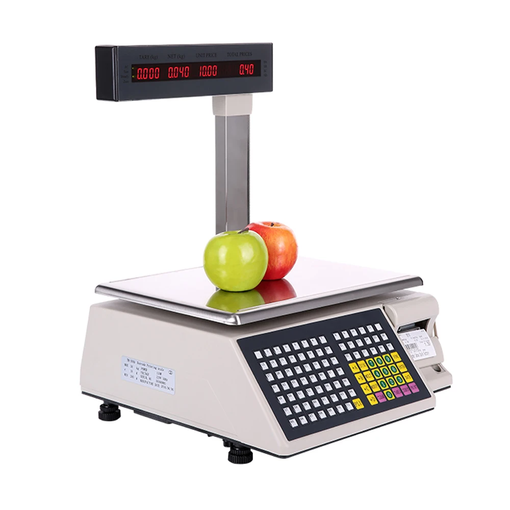 Electronic Price Platform Weighing Scale 3kg 6kg 15kg 60Kg 1g 5g Floor Scale Weighing Scale