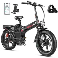 2000W Folding 60AH Ebike 20*4.0\