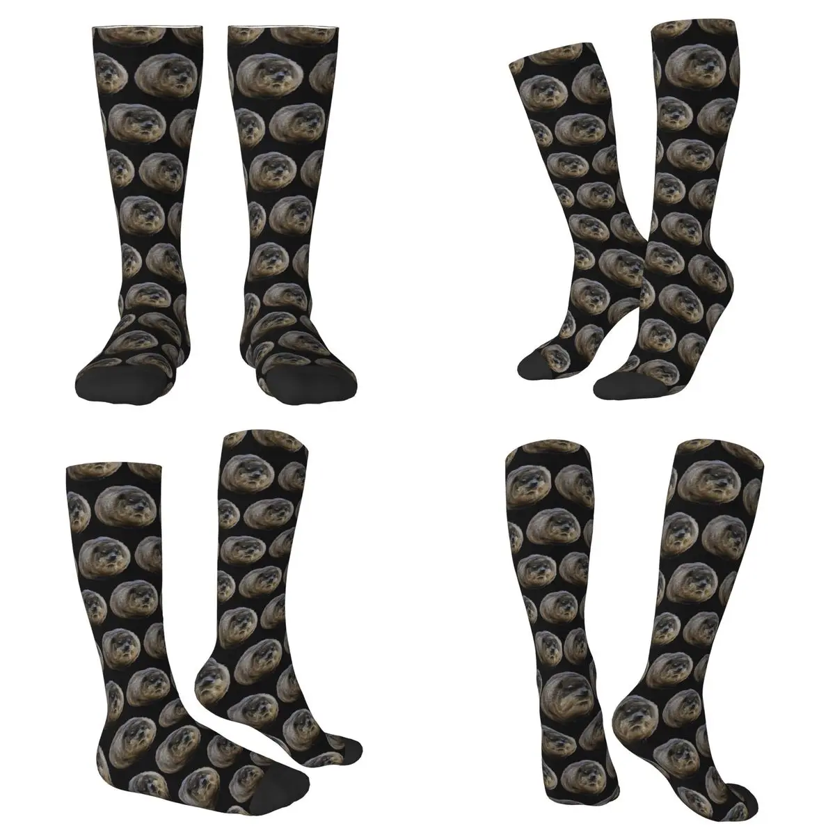

All Seasons Hyrax Coquette Or Croquette Socks Harajuku Sport Middle Tube Socks Soft Fashion Stockings for Men Women