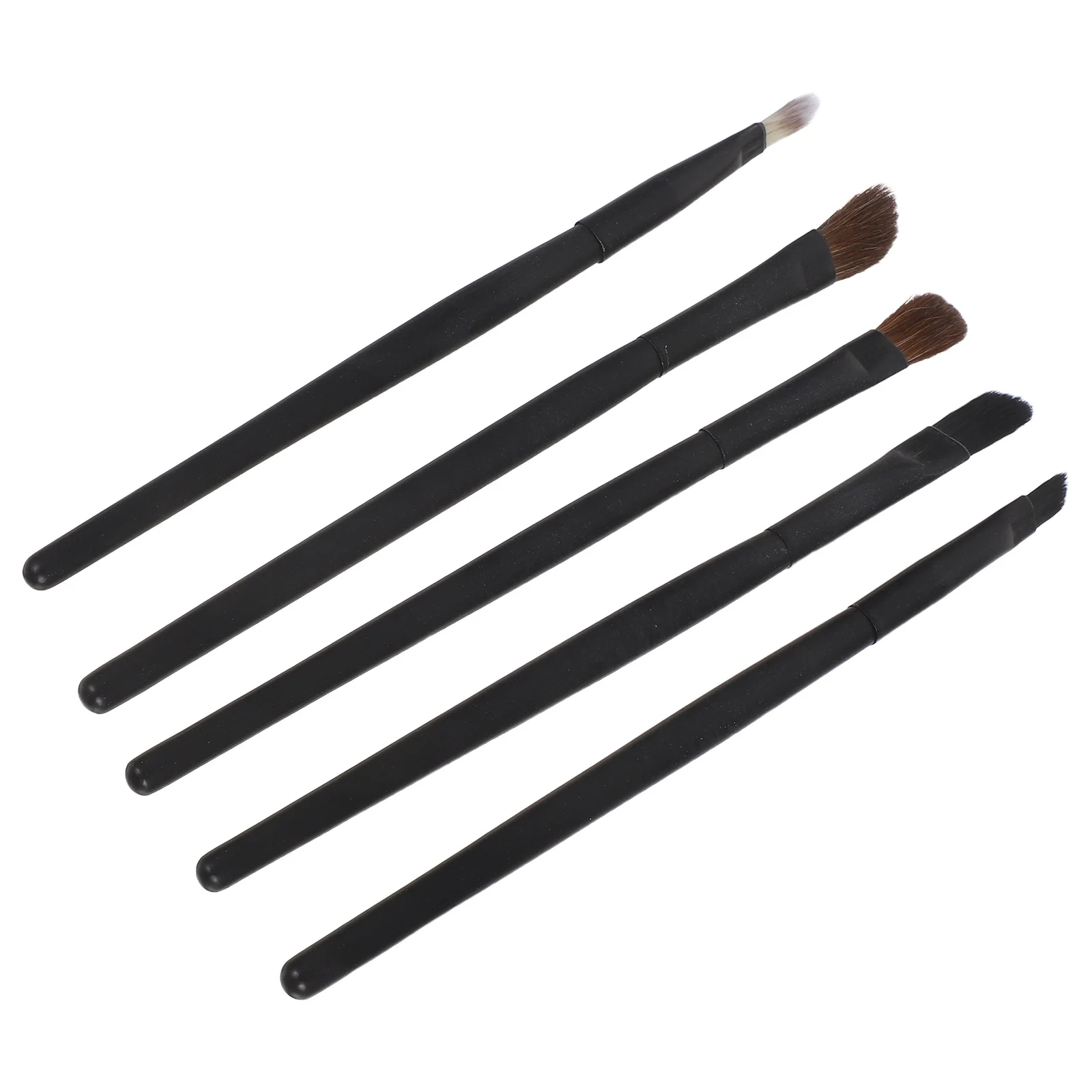 5Pcs Makeup Brush Set Natural Bristle Eye Blending Brushes for Eyeshadow Eyeliner Application Compact Storage Case Included