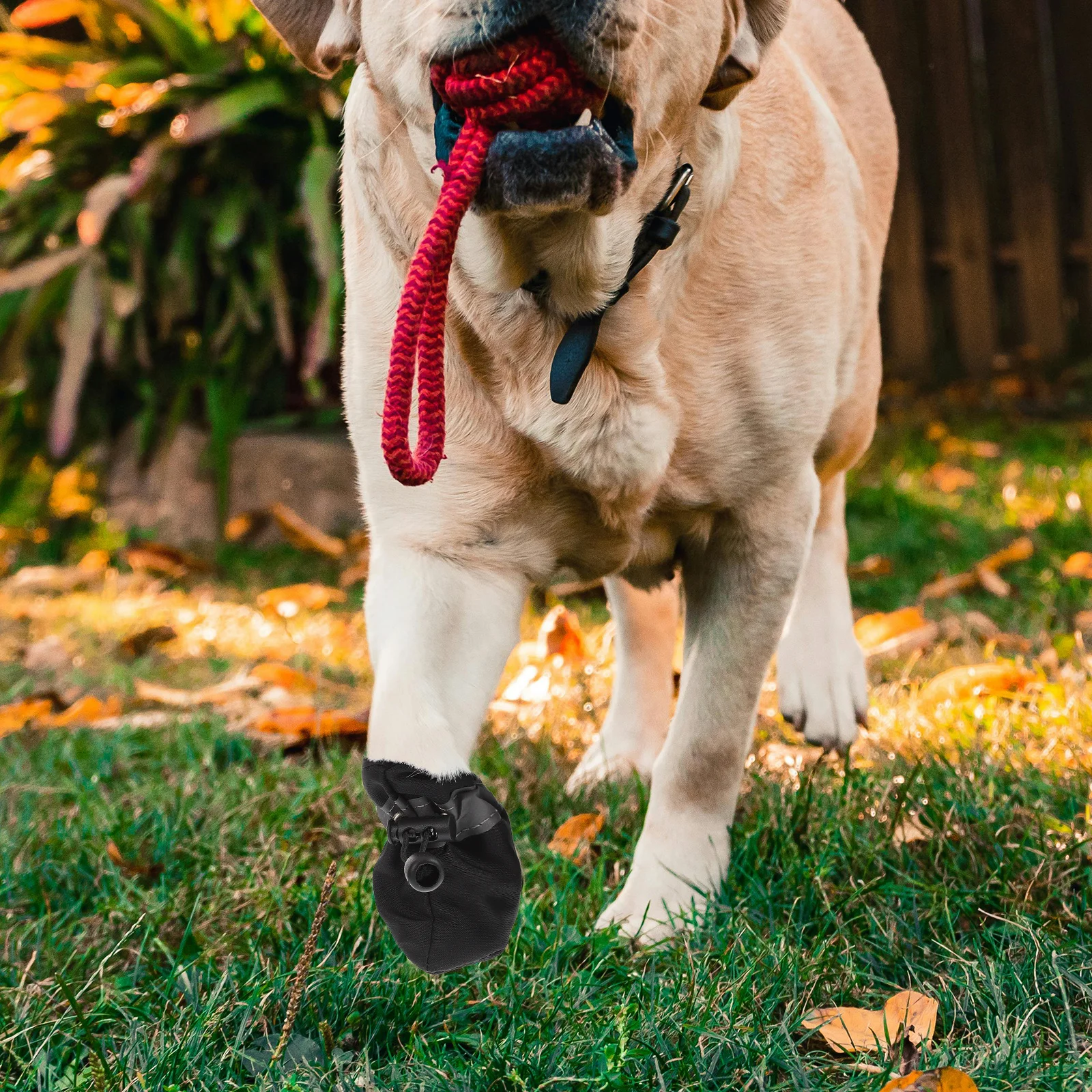 

4Pcs Non Slip Dog Shoes Protective Puppy Boots Breathable Waterproof for Rainy Days Outdoor Activities Small Medium Size