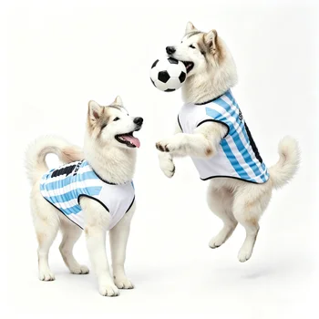 Fifa dog