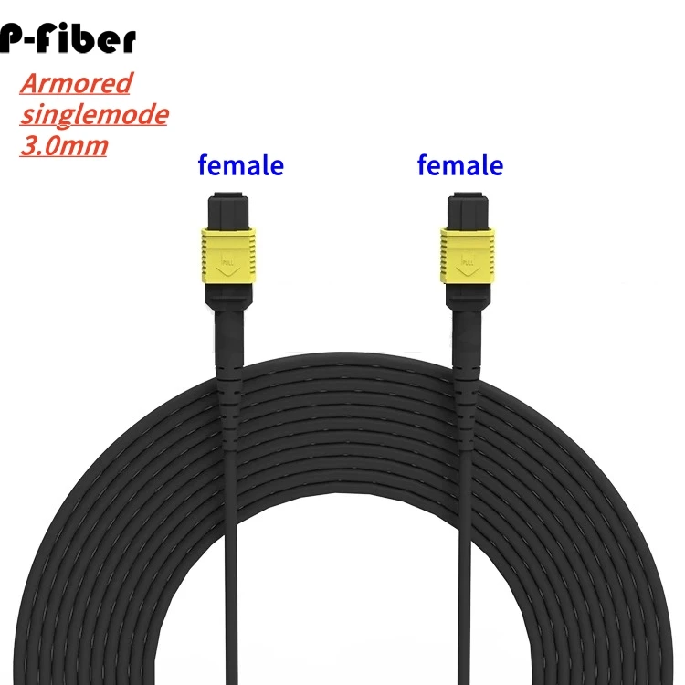 

MPO armored fiber jumper 12 cores female 5m 10m 20m3m low loss type B A singlemode 8 cores MTP MPO optical fibre patchcord 8C12C