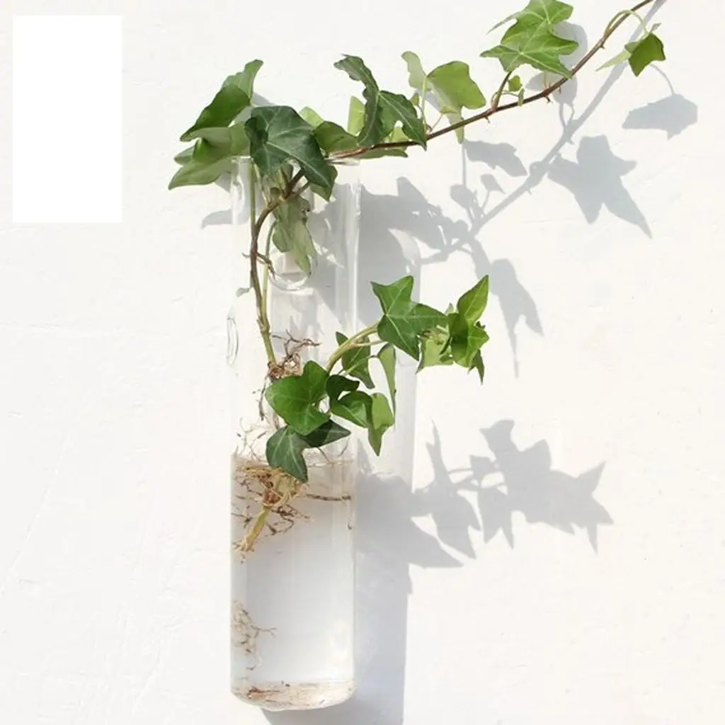Glass Hydroponic Pot Wall Planter Square Transparent Wall Vase Hanging Flower Pot Indoor Plant Holder for Wedding Party Decor