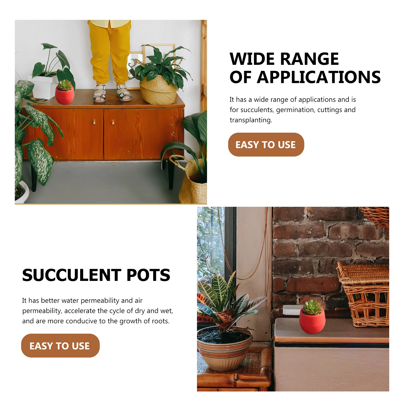 

Succulent Plant Pots Cactus Flower Planters Indoor for Plants Container Succulents Cute Decorate