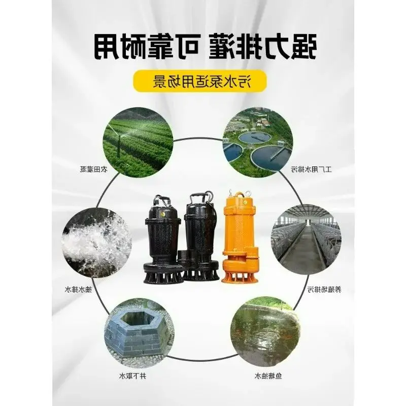 

Погружной насос для сточных вод 220 В, 2 дюйма, для дренажа, перекачки ила, фекалий, грязи, промышленного и бытового использования