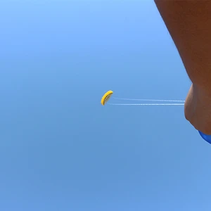 Kostenloser Versand 250 cm Dual Line Stunt Power Kites Fliege Spielzeug für Kinder Kite Surf Beach Kites Professionelle Wind Kites Factory Sports Sport 10 Hauptverkaufs -Surfspielzeug - №8