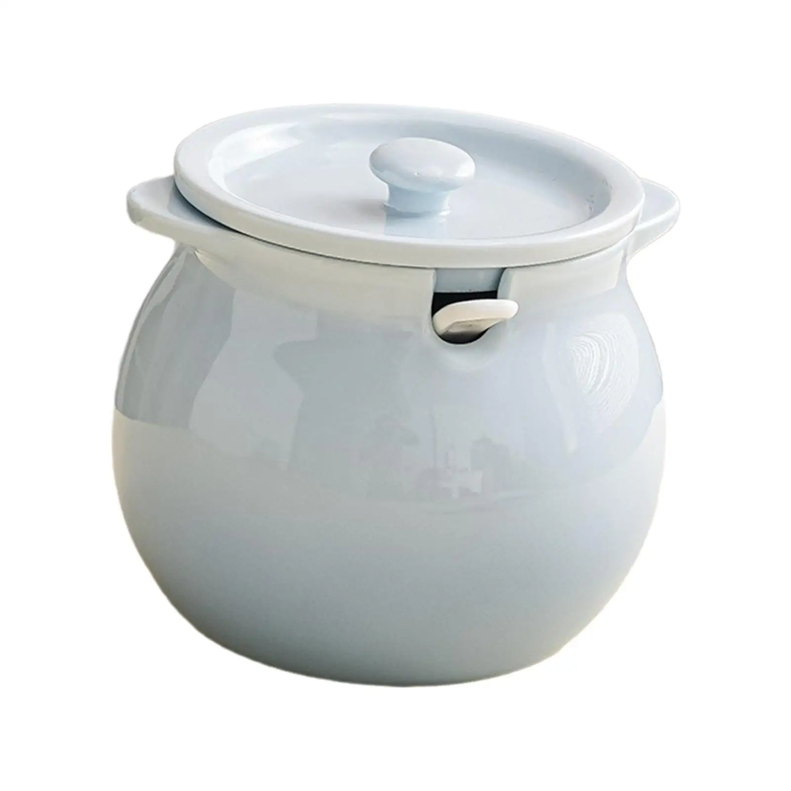 Kitchen Container Ceramic Canister with Lid Spoon Gadgets Cookware Seasoning Tank Double Ear Lard Jar for Decoration Counter