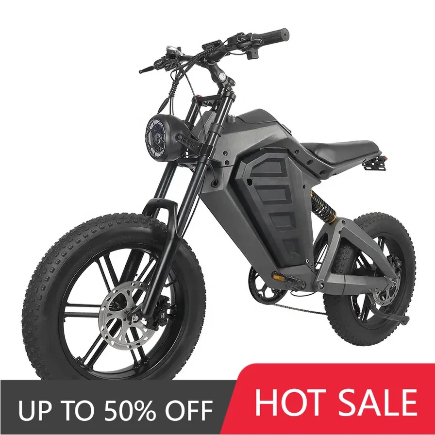 WWQ Mtbgoo High Quality 20 High Performance Brushless Motor 48V 750 Watts Electric Fat Tire Bike with Super Bright Light Emittin