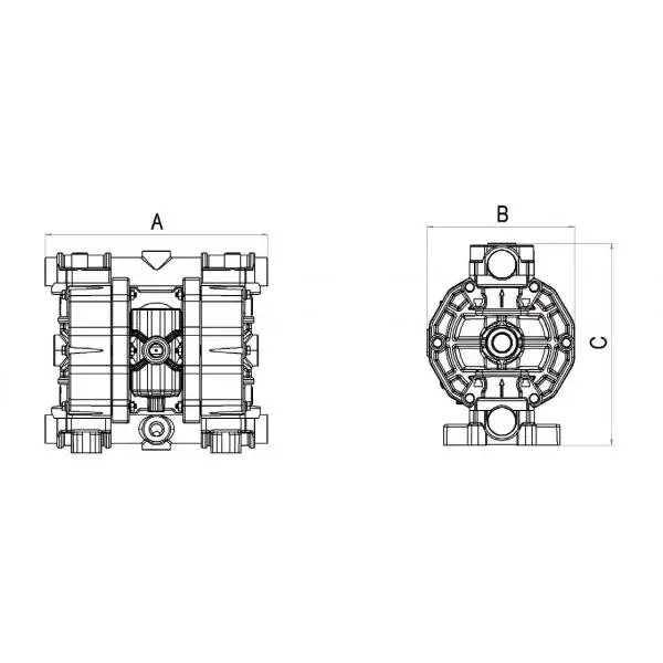 Meclube Food Processing Machinery Air-Operated Double Diaphragm Pumps Model FOOD SS170 Stainless Steel AISI 316 Ball Stainless