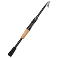 Spinning Rod